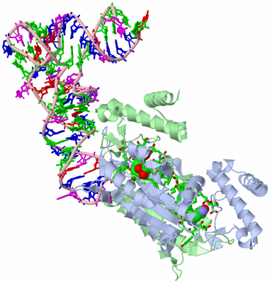 Image Asym./Biol. Unit - sites