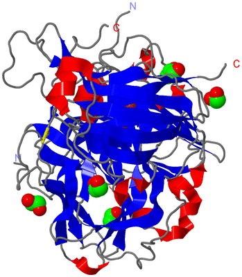 Image Asym./Biol. Unit