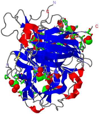 Image Asym./Biol. Unit - sites