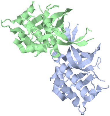 Image Biological Unit 3