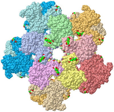 Image Biol. Unit 1 - sites