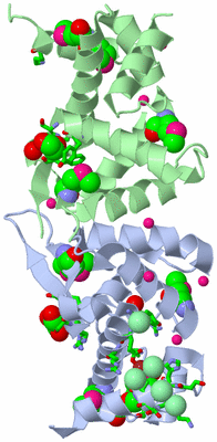 Image Asym./Biol. Unit - sites