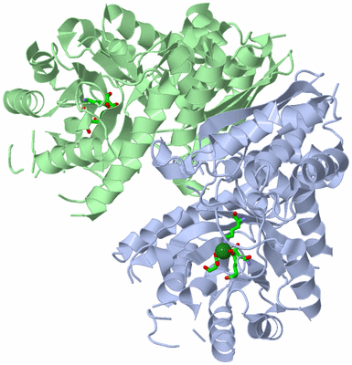 Image Asym./Biol. Unit - sites