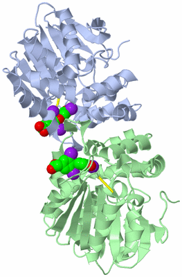 Image Biological Unit 1