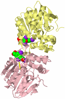 Image Biological Unit 2