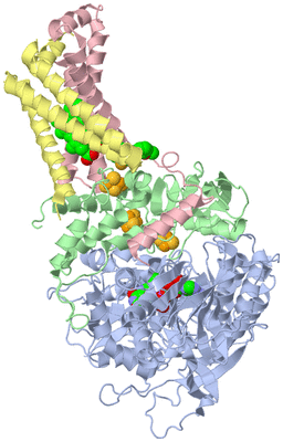 Image Asym./Biol. Unit