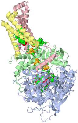 Image Asym./Biol. Unit - sites