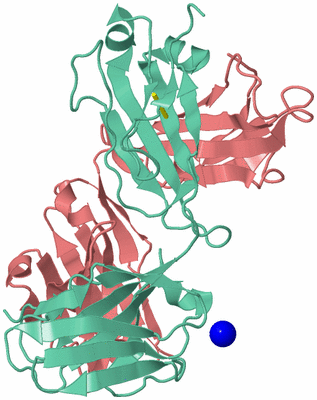 Image Biological Unit 2