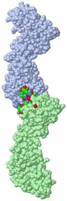 Image Asym. Unit - sites