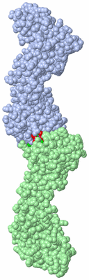 Image Asymmetric Unit