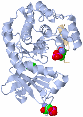 Image Asym./Biol. Unit