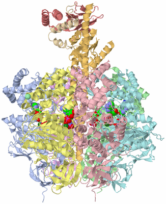 Image Asym./Biol. Unit