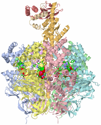 Image Asym./Biol. Unit - sites