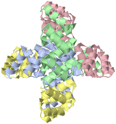 Image Biological Unit 1