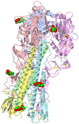 Image Asym./Biol. Unit