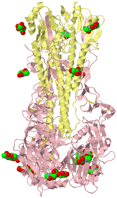 Image Biological Unit 2