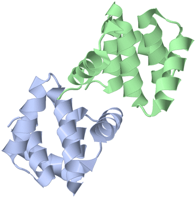 Image Asymmetric Unit