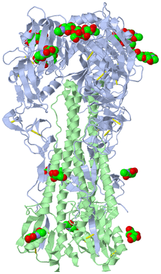 Image Biological Unit 1