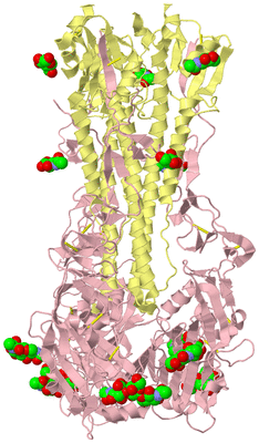 Image Biological Unit 2