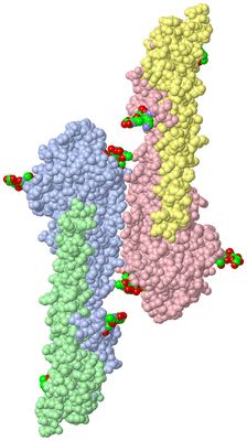 Image Asym. Unit - sites