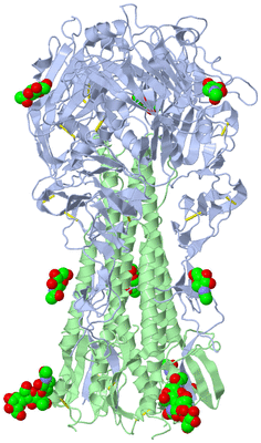 Image Biological Unit 1