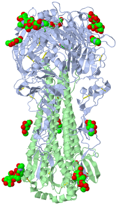 Image Biological Unit 1