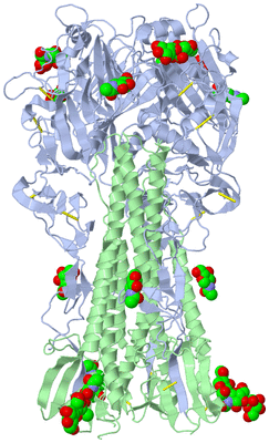 Image Biological Unit 1