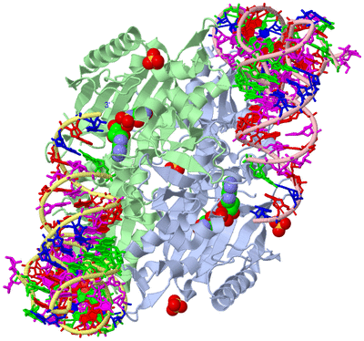 Image Asym./Biol. Unit