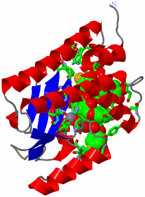 Image Asym./Biol. Unit - sites