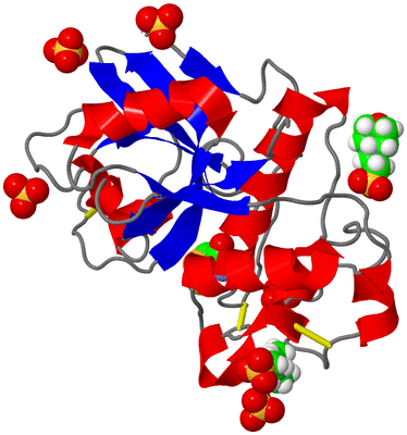 Image Asym./Biol. Unit