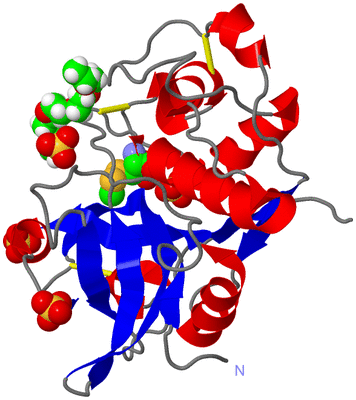 Image Asym./Biol. Unit