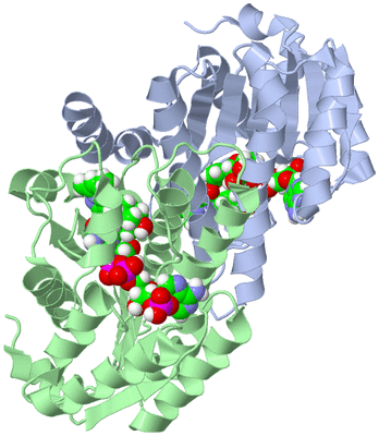 Image Asym./Biol. Unit