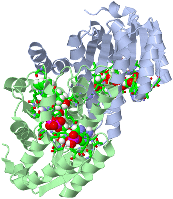 Image Asym./Biol. Unit - sites