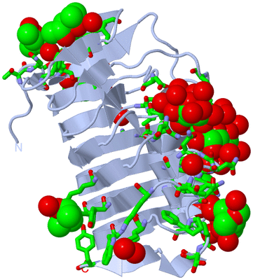 Image Biol. Unit 1 - sites