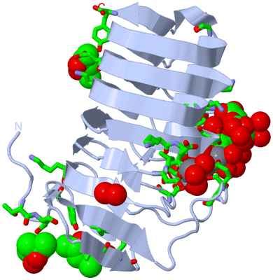 Image Biol. Unit 1 - sites