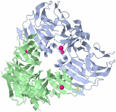 Image Biological Unit 1