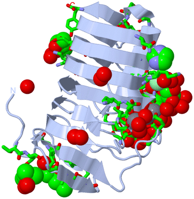 Image Biol. Unit 1 - sites