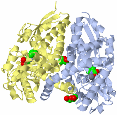 Image Asym./Biol. Unit