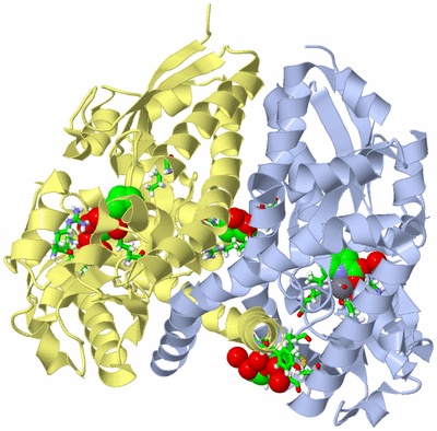 Image Asym./Biol. Unit - sites