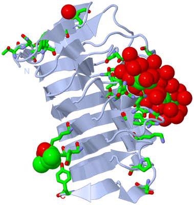 Image Biol. Unit 1 - sites