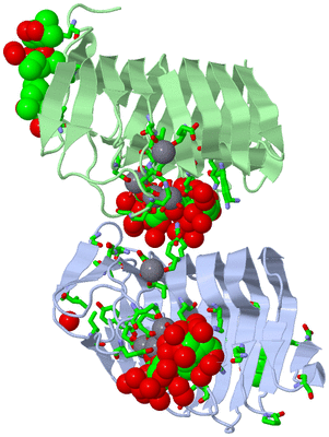 Image Asym. Unit - sites