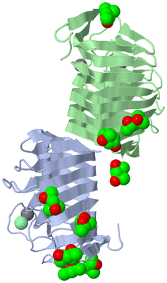 Image Asymmetric Unit