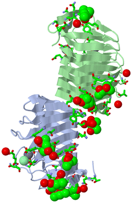 Image Asym. Unit - sites