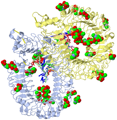 Image Asym./Biol. Unit