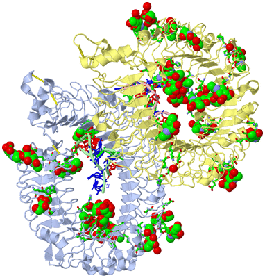 Image Asym./Biol. Unit - sites