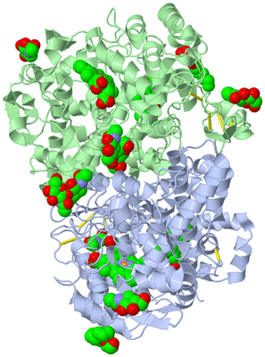 Image Biological Unit 1