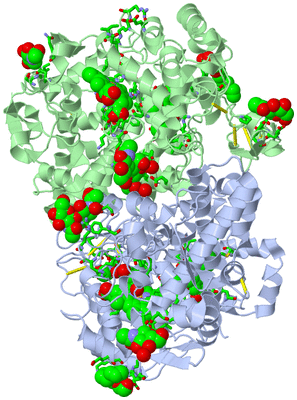 Image Biol. Unit 1 - sites