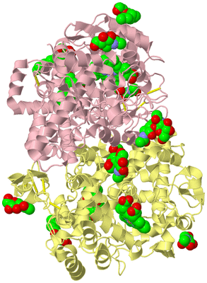 Image Biological Unit 2