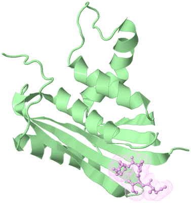 Image Biological Unit 2