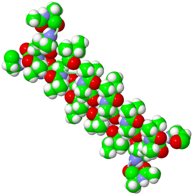 Image Asymmetric Unit